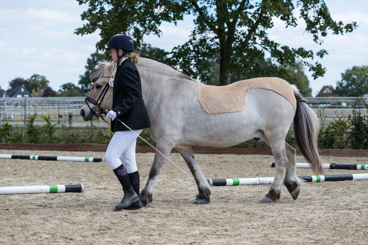 Bild 20 - Pony Akademie Turnier